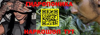 эйфоретик Бийск